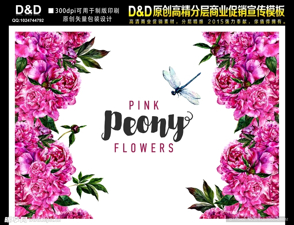 手绘玫瑰 花鸟图 插画