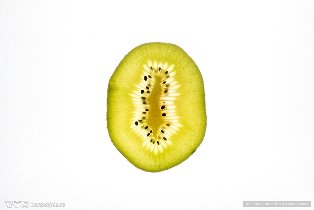 猕猴桃 猕猴桃2只 中华猕猴桃