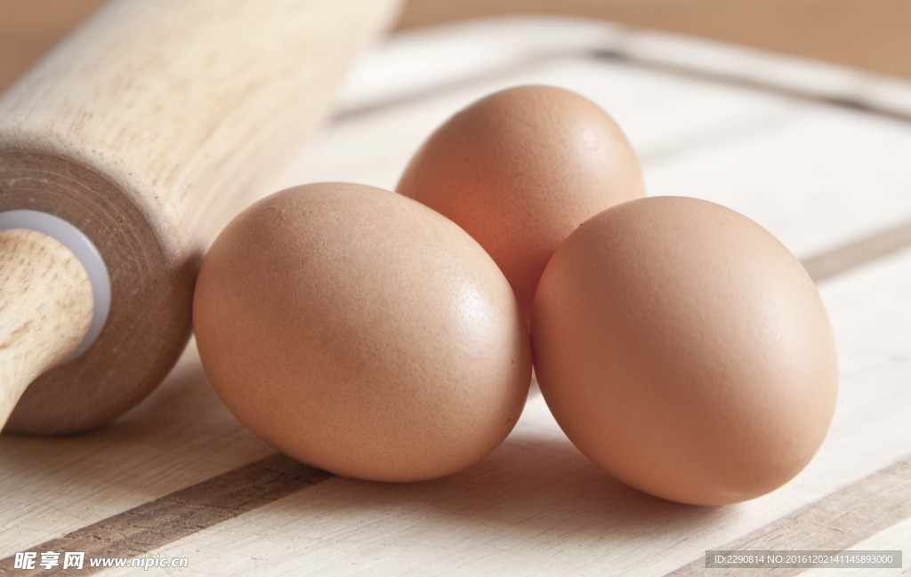 蛋 山鸡蛋 绿鸡蛋 柴鸡蛋 禽