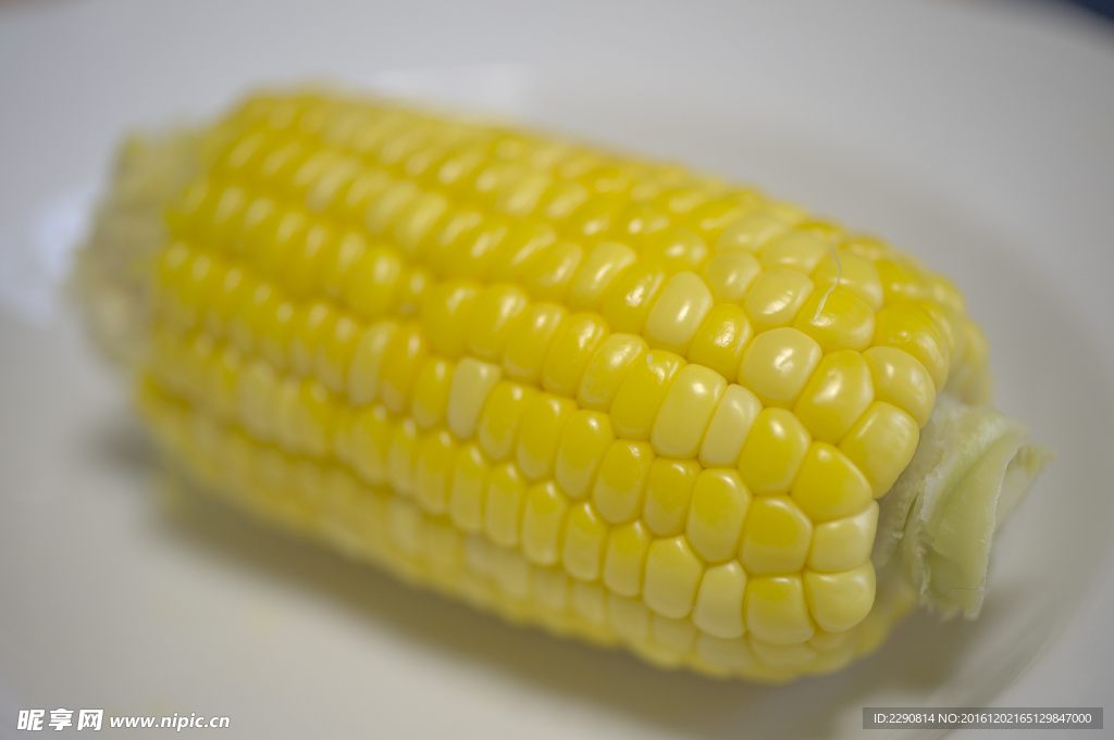 玉米 苞米 玉米晾晒 干玉米