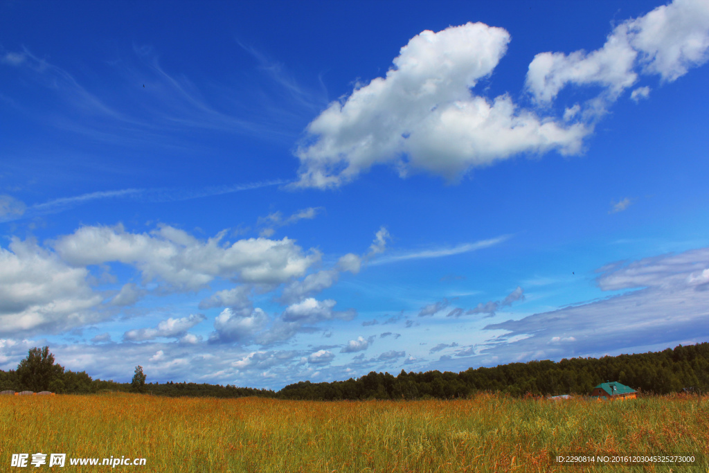 天 天空 蓝天 唯美 风景 风
