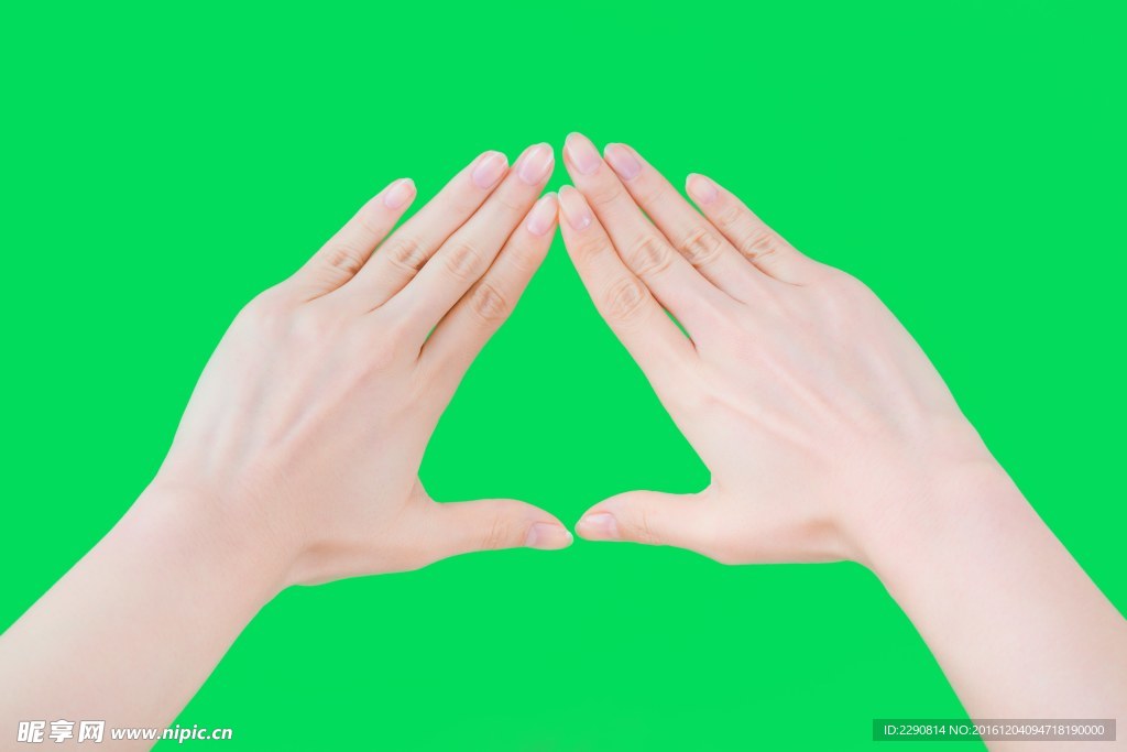 手势大全 手表情图 手掌 拳头