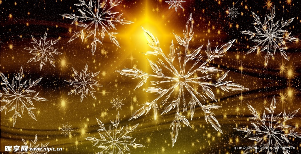 圣诞节的浪漫冰花