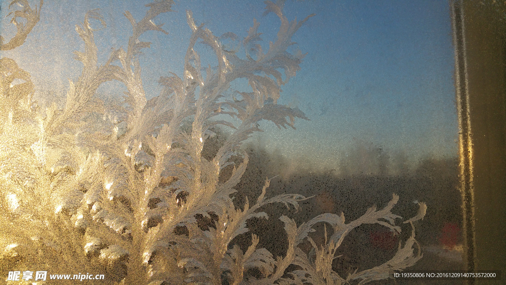 冬天玻璃窗上的冰花