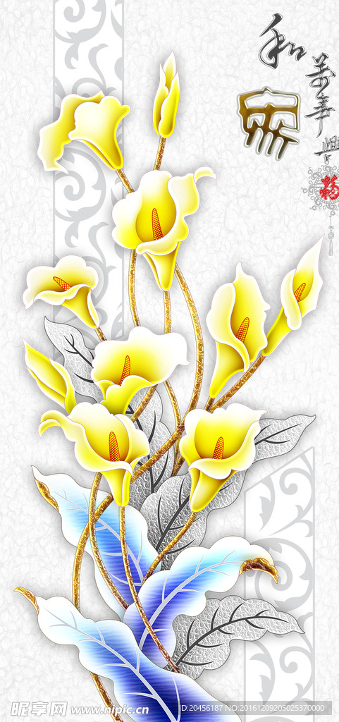 玄关马蹄莲图片