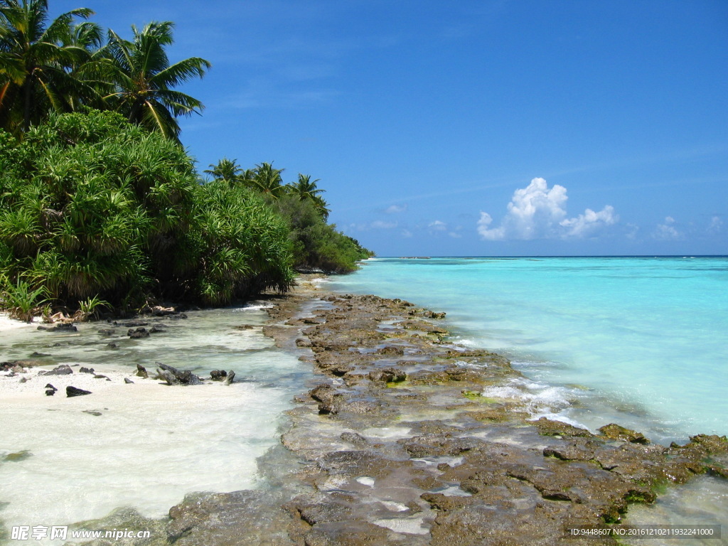 北马累环礁度假图片