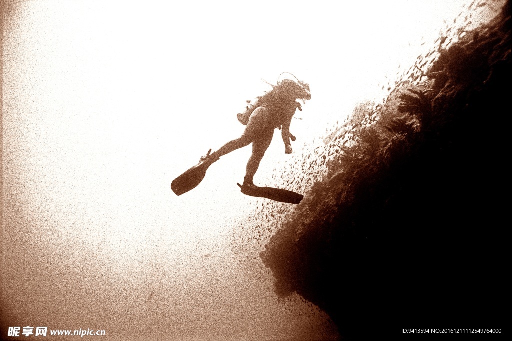 科科拉岛度假村