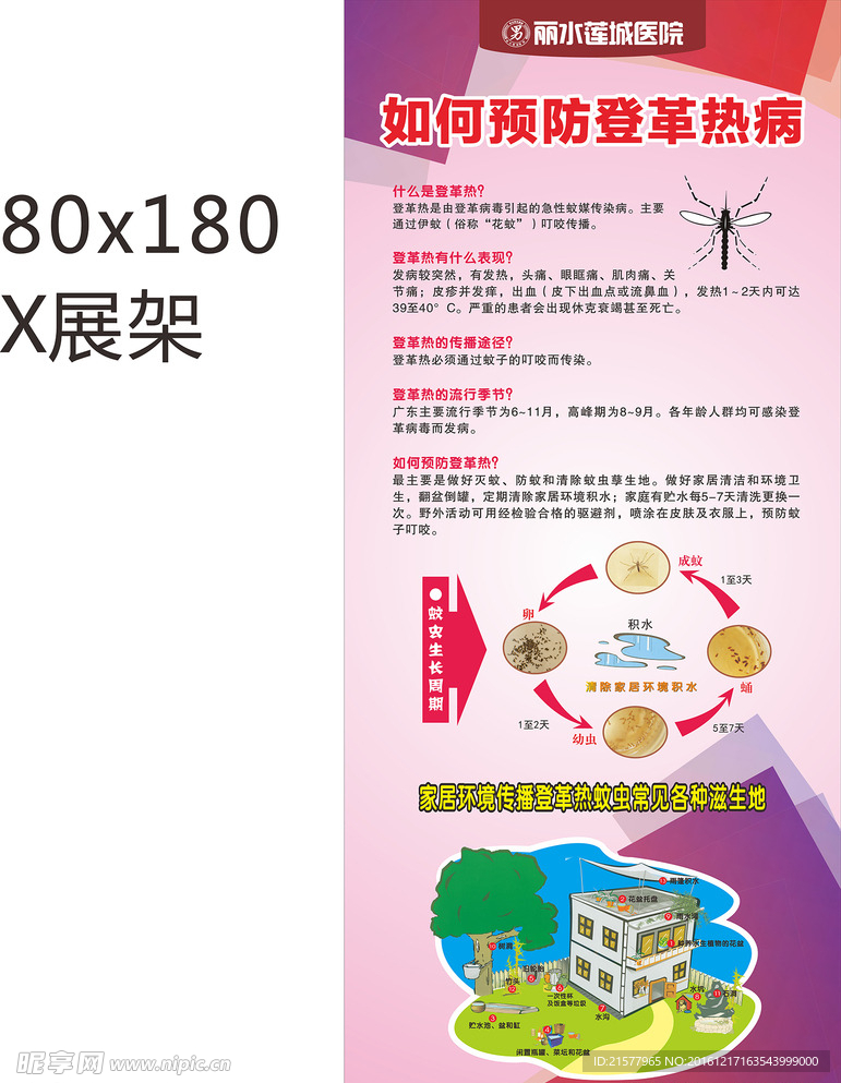 如何预防登革热病