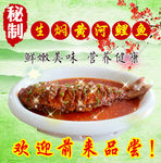 生焖黄河鲤鱼