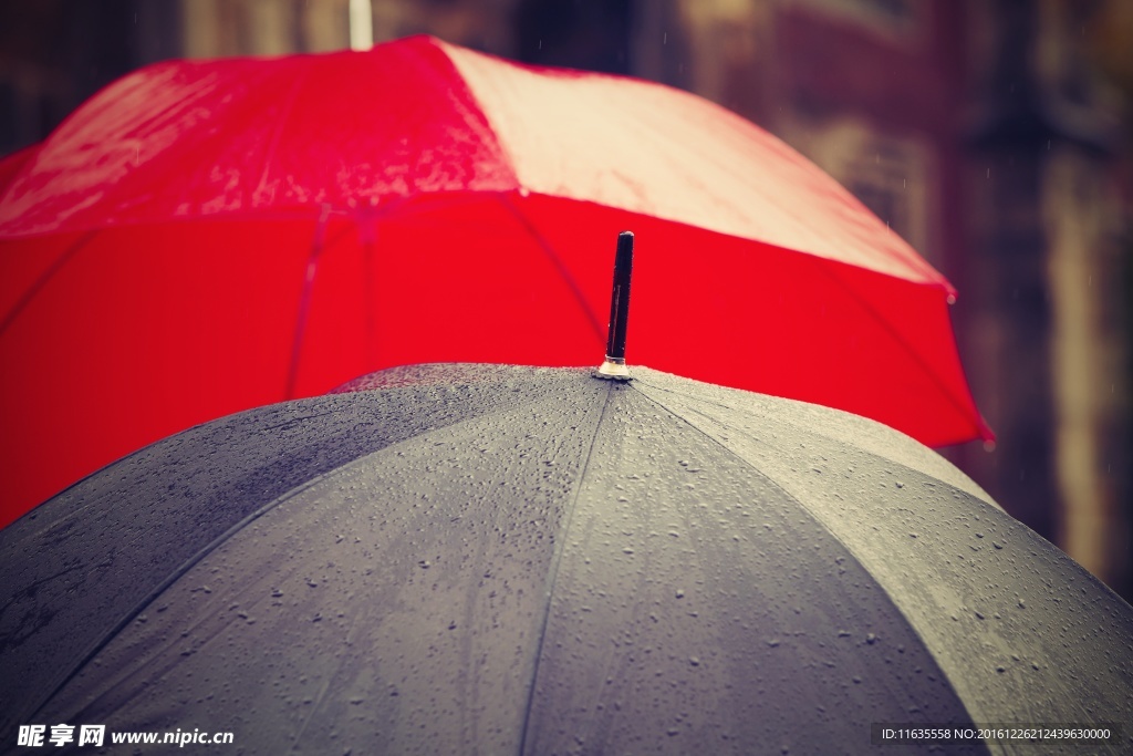 雨伞创意高清图片