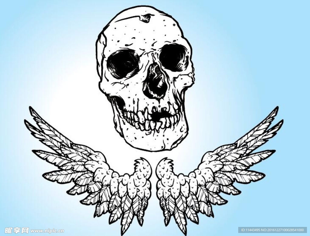 骷髅翅膀矢量