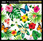 水彩蝴蝶花绘图 矢量包装