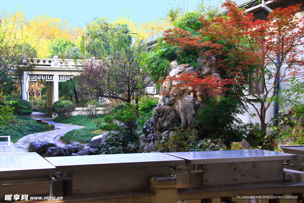 南京总统府 西花园