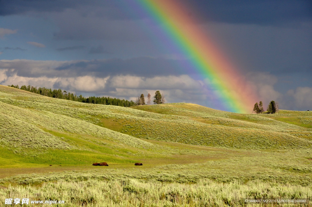 乡村彩虹图片