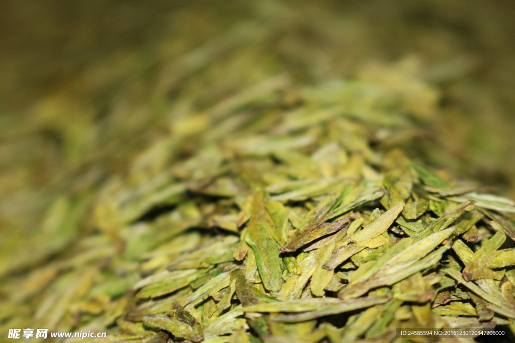 龙井茶 越乡龙井