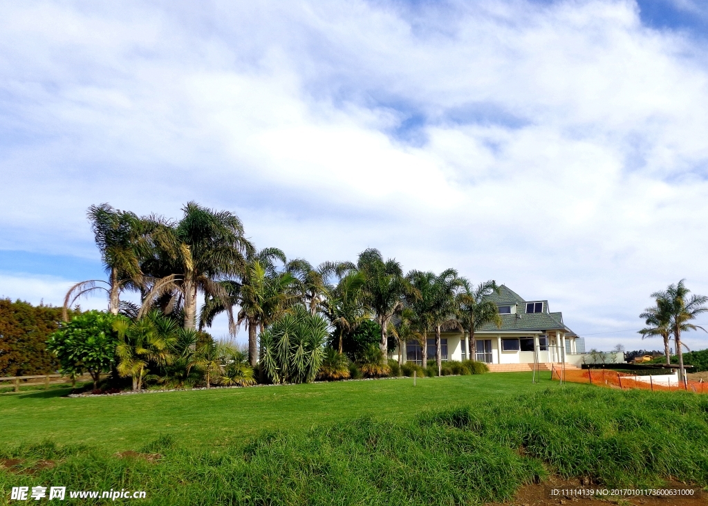 奥克兰农场风景
