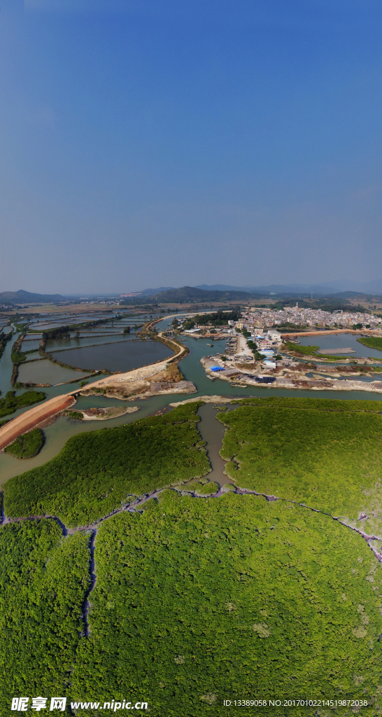 程村蚝养殖基地