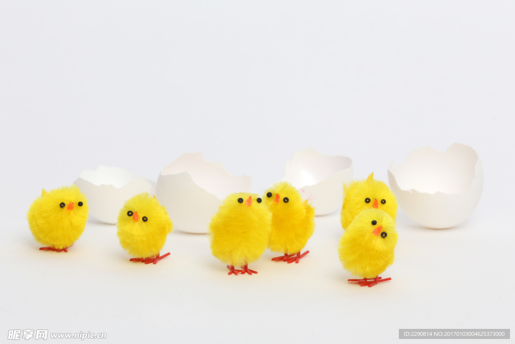 玩具小鸡
