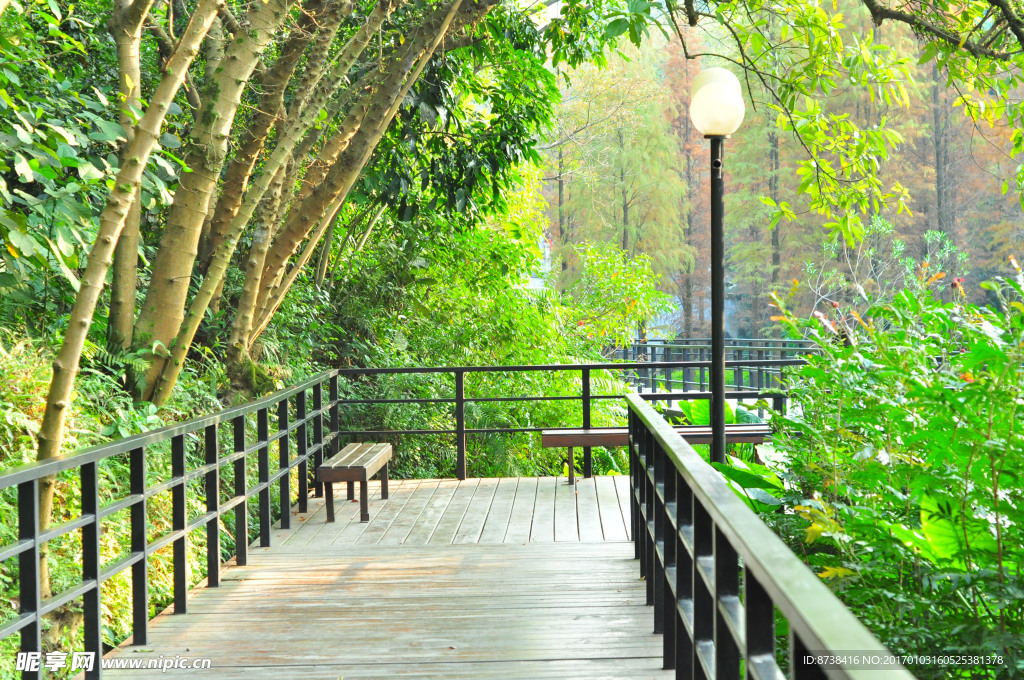 广州云台花园图片