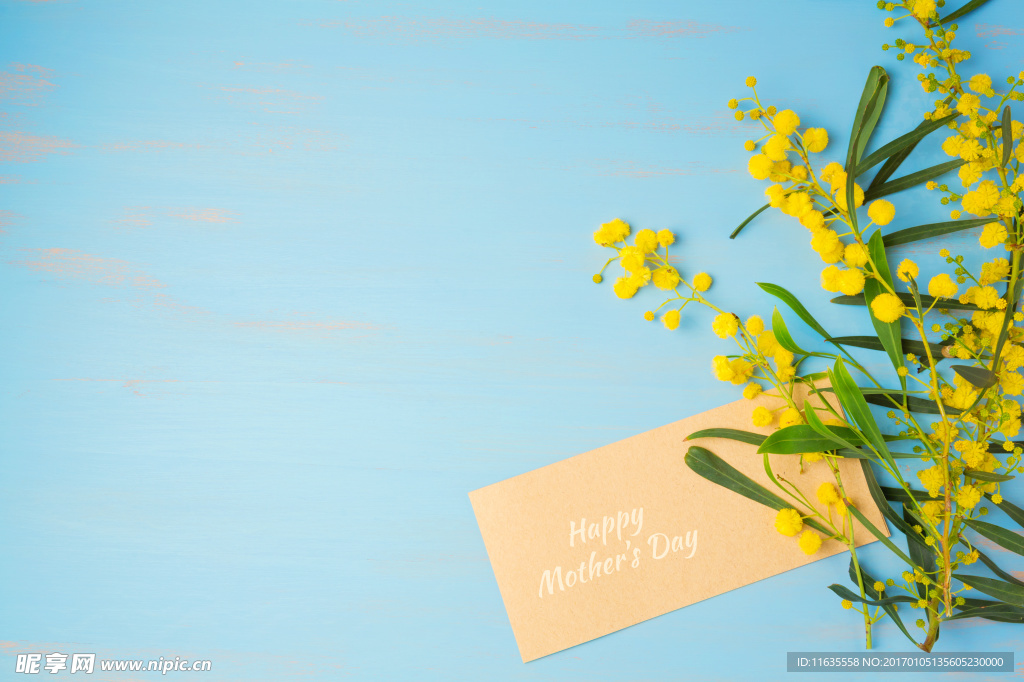 唯美鲜花高清摄影图片