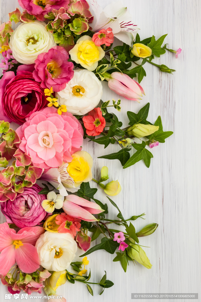 唯美鲜花高清摄影图片