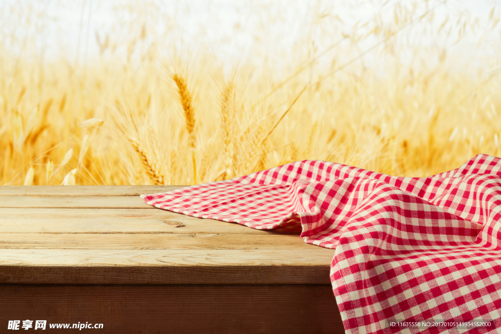 旷野金色麦田风景高清图片