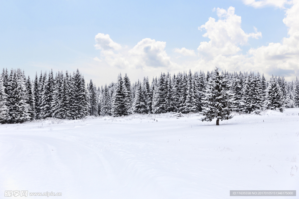 冬天雪景高清图片