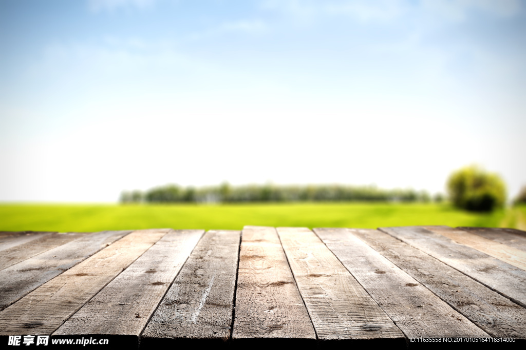 蓝天白云草地高清图片下载