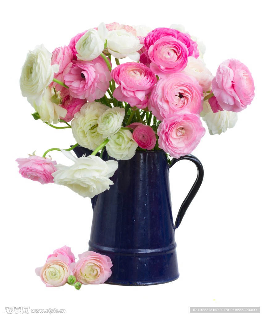 唯美鲜花高清摄影图片