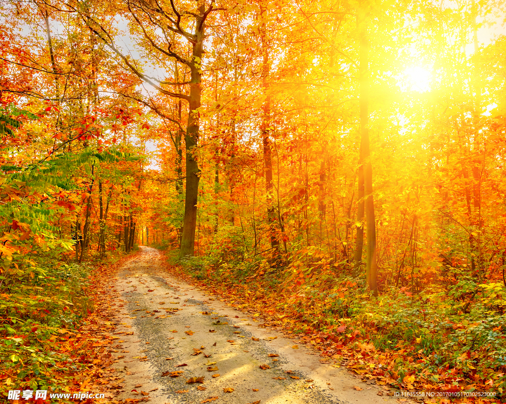 秋天的风景高清图片