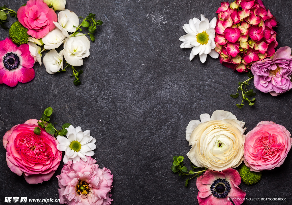 唯美鲜花高清摄影图片