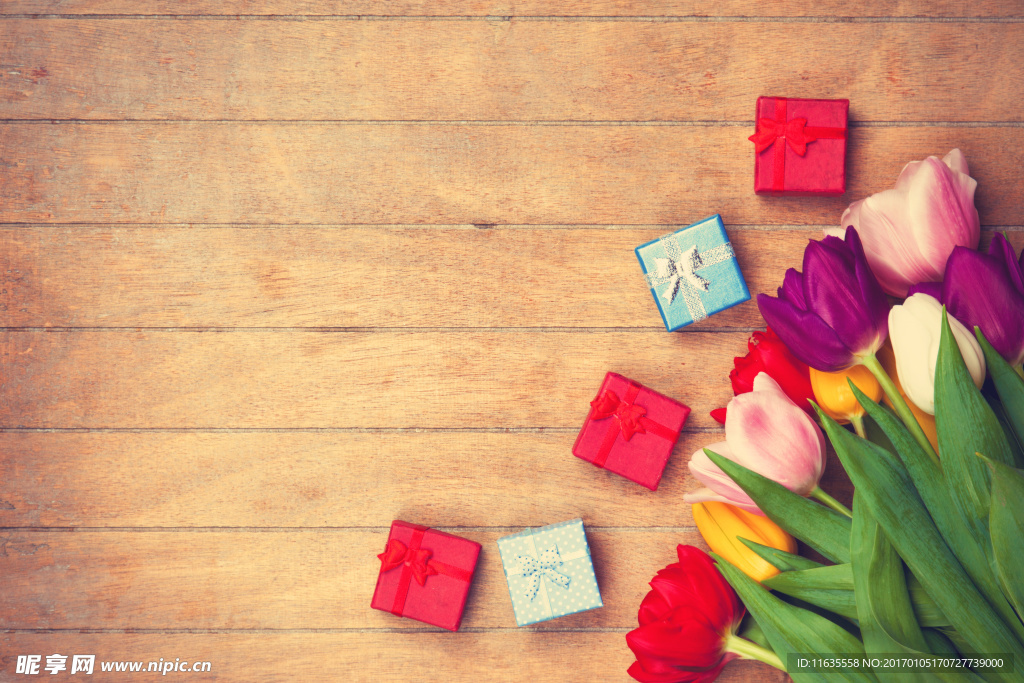 郁金香高清摄影图片