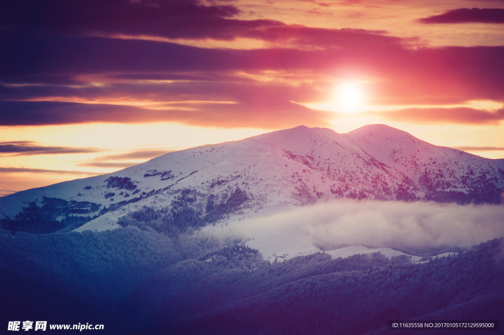 冬天雪景高清图片