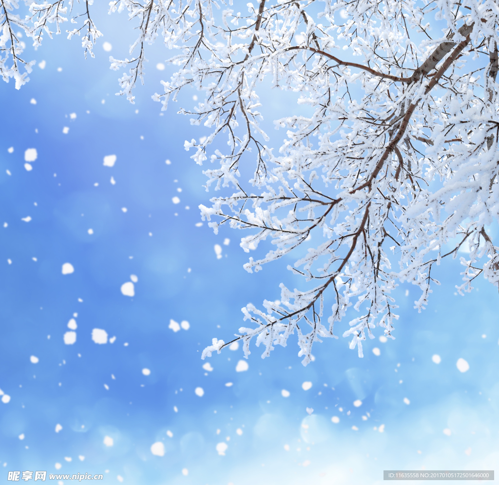 冬天雪景高清图片