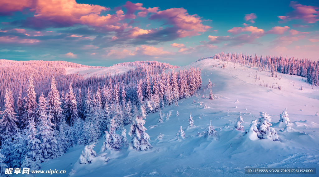 冬天雪景高清图片