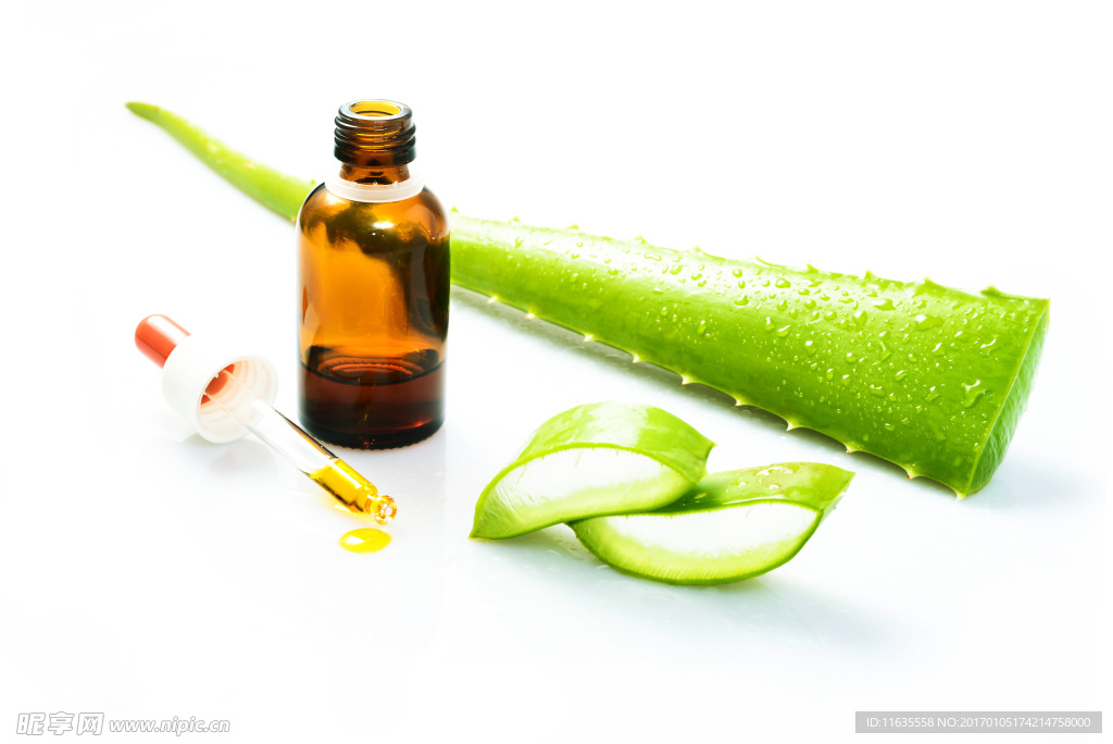 新鲜的芦荟高清图片