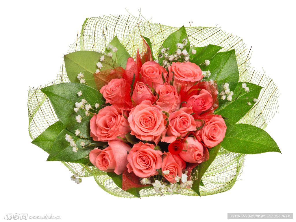 玫瑰花高清摄影图片