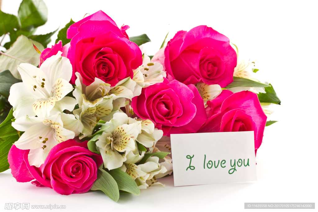 玫瑰花唯美温馨高清照片