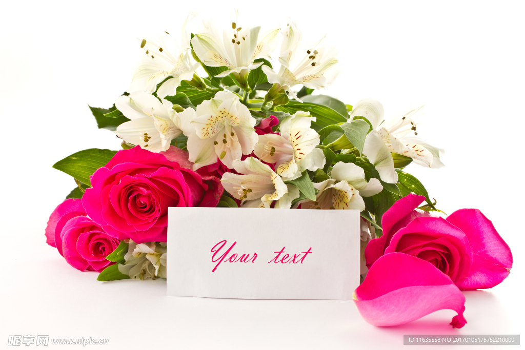 玫瑰花唯美温馨高清照片