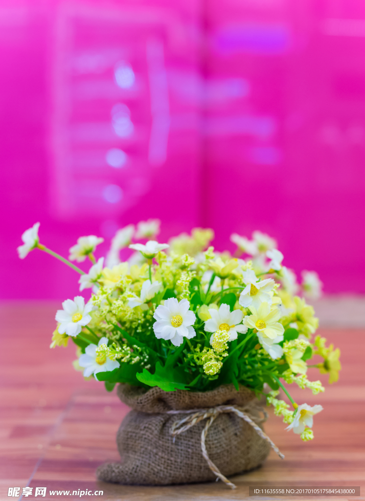 色彩缤纷的鲜花高清图片