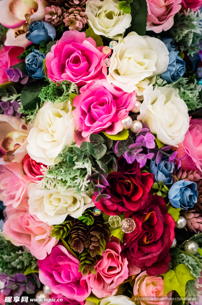 色彩缤纷的鲜花高清图片