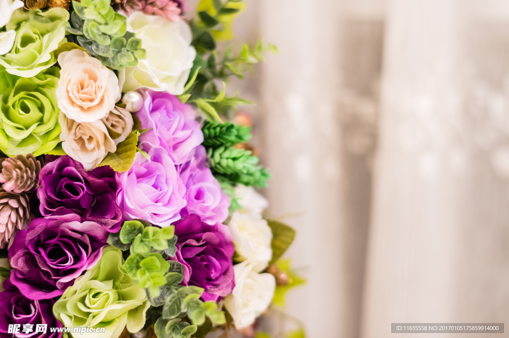 色彩缤纷的鲜花高清图片