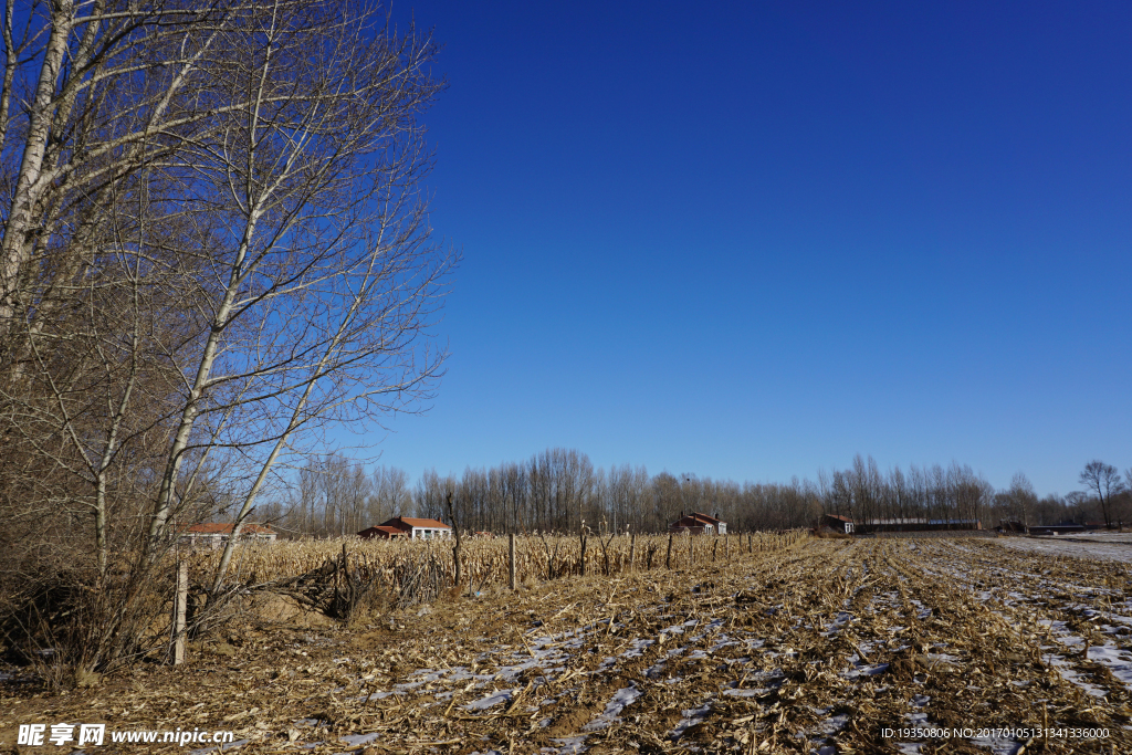蓝天 田地 村庄