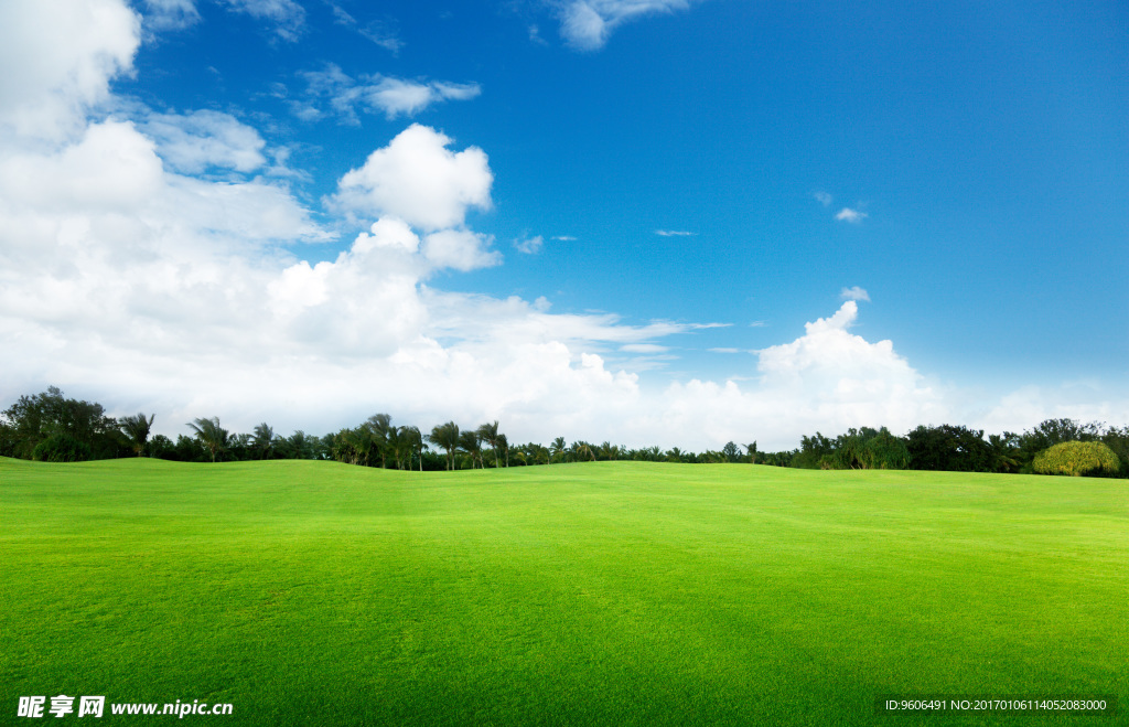 蓝天白云草地