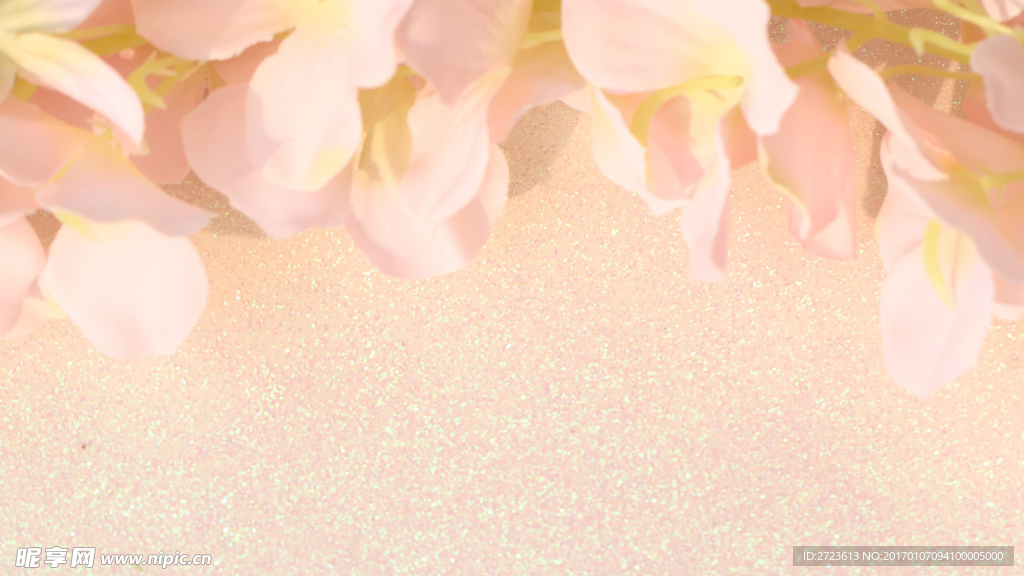 浆果和花朵图片