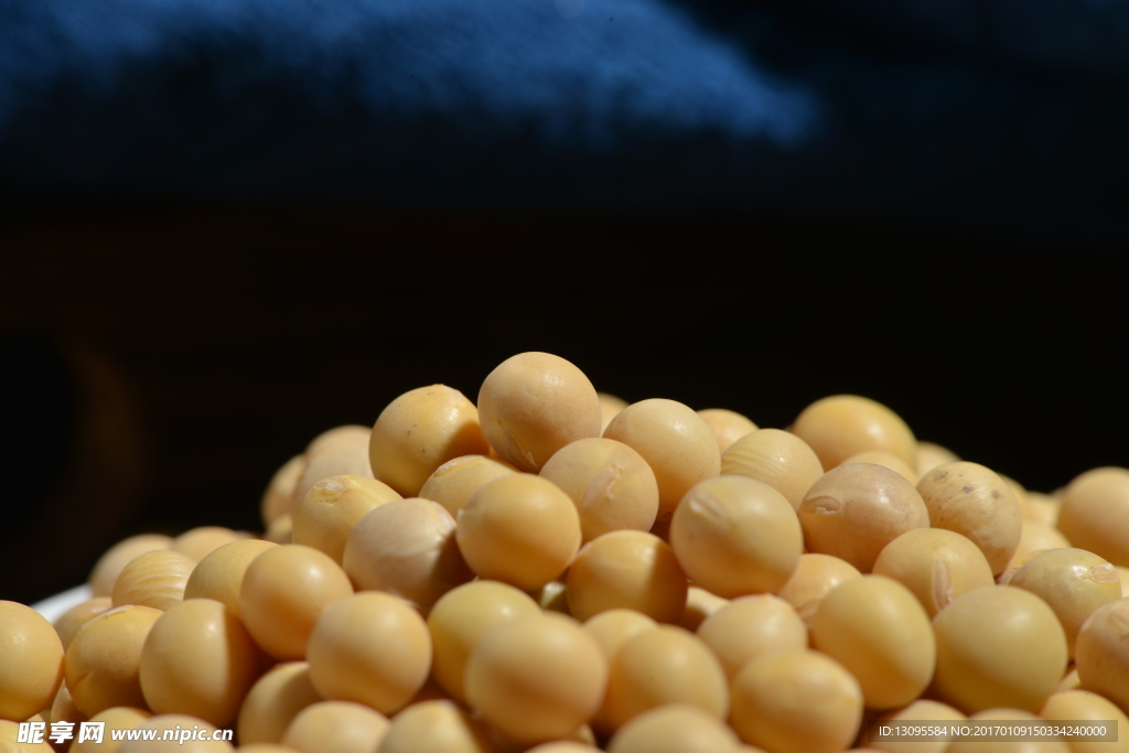 五谷 杂粮 黄豆  杂粮摄影