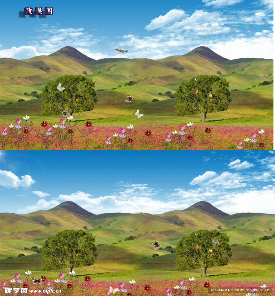 唯美草原上的花园和大树高清视频