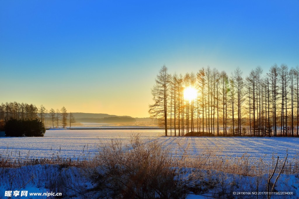 摄影图片 阳光雪地