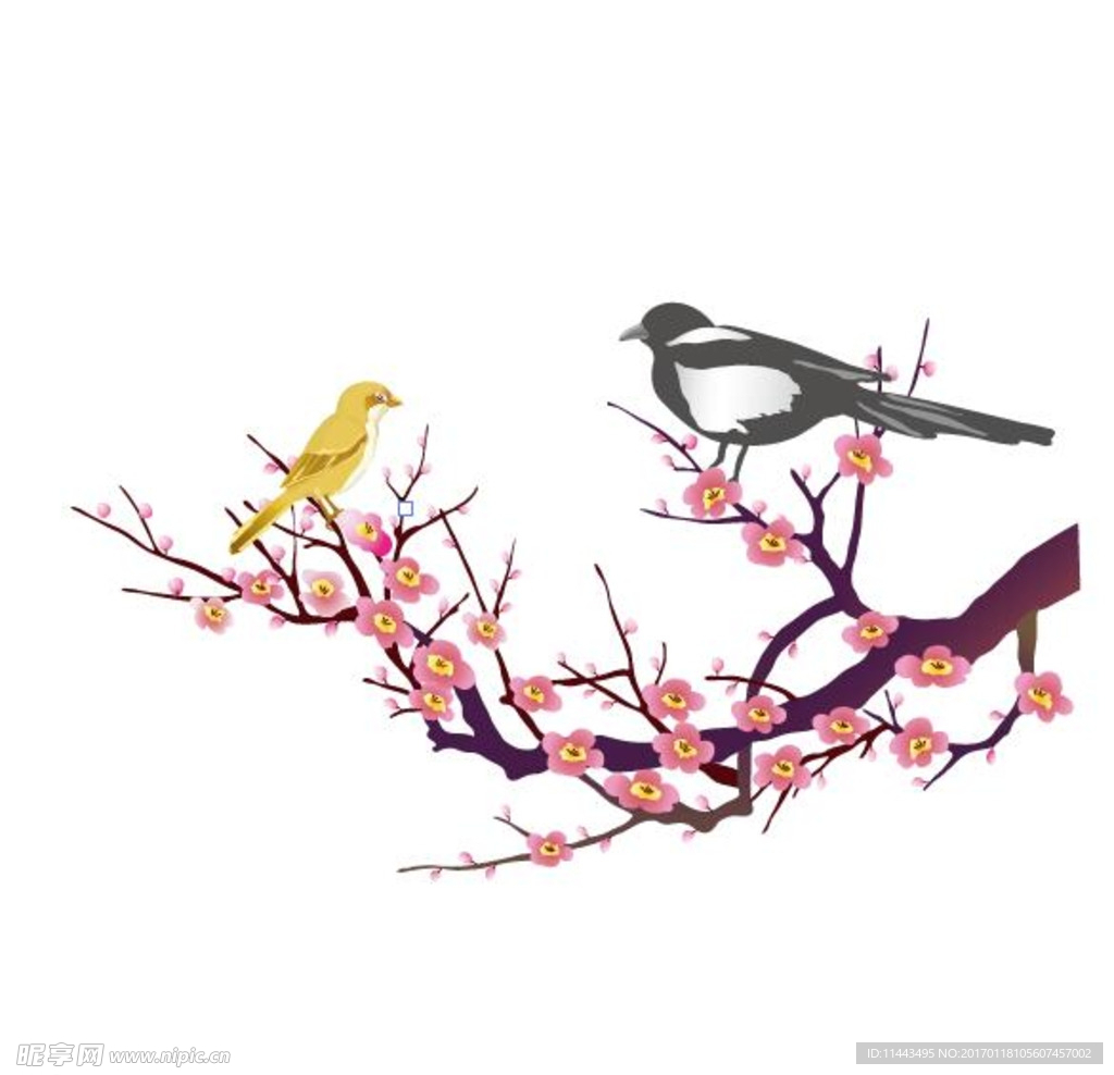 喜鹊矢量图