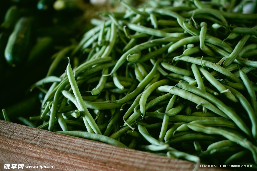 丰收的新鲜蔬菜